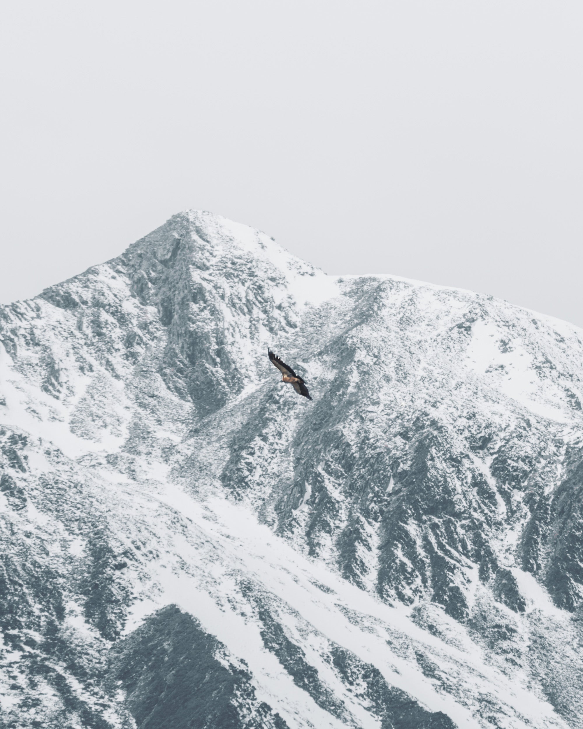 The Eagle of the Sky 苍穹鹰
